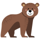 Icon 300px_Bear